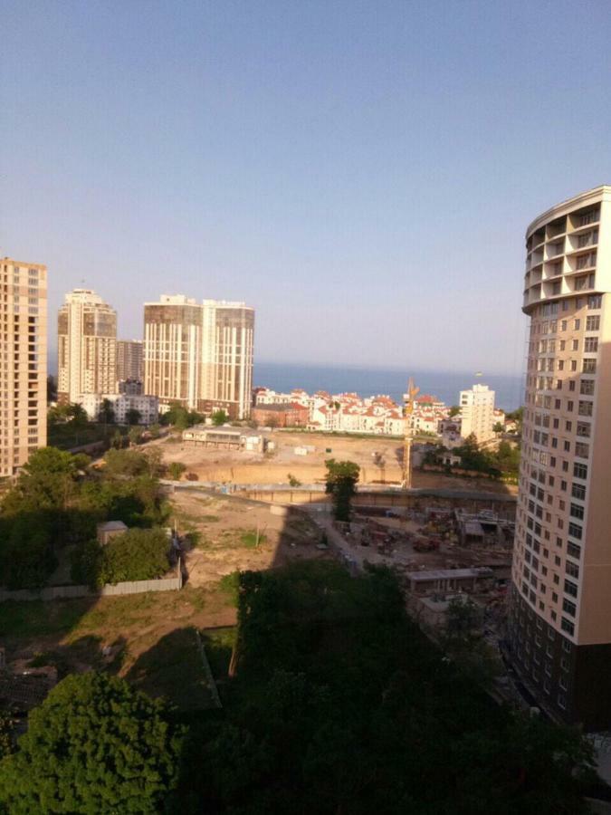 Аркадия, 26 Жемчужина Odessa Luaran gambar